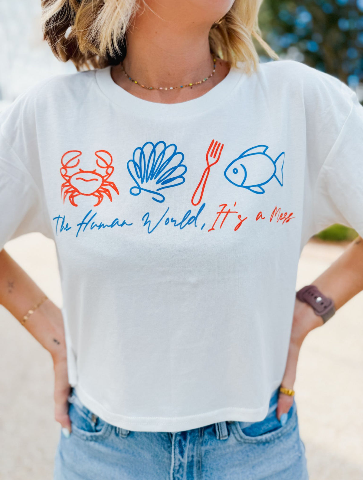 It’s A Mess Crop Tee