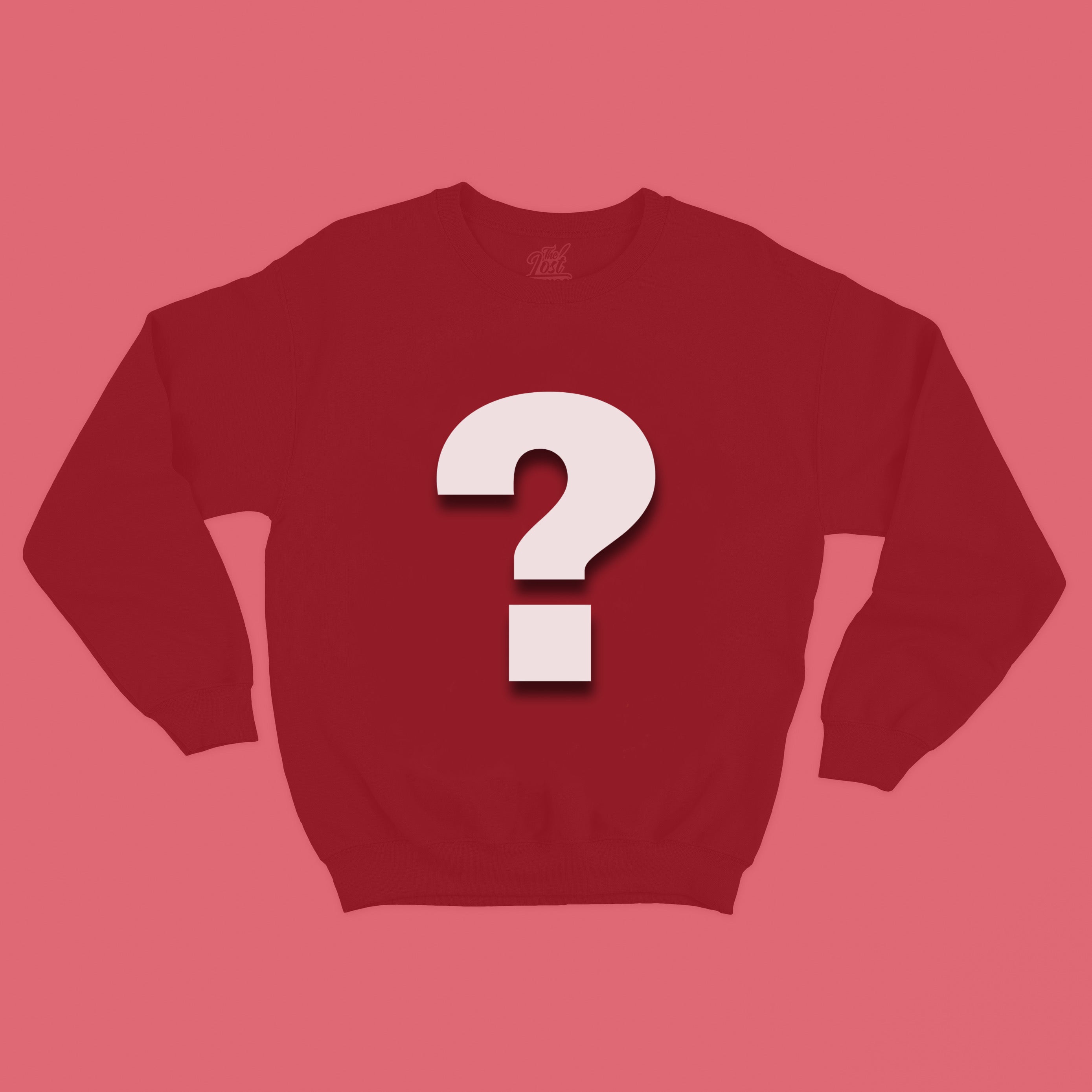 Mystery Clearance Sweatshirt/Hoodie